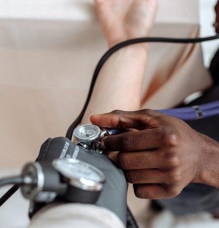 professional manual blood pressure cuff