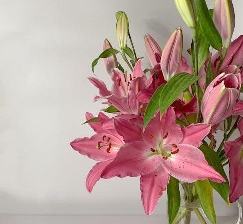 ender lilies trophy guide