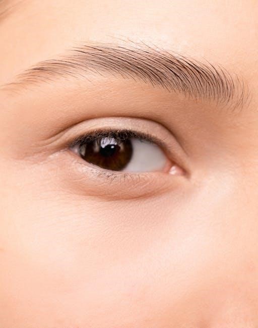 thuya brow lamination instructions