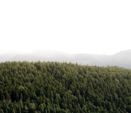 resume aerial photography -templates -samples filetype:pdf