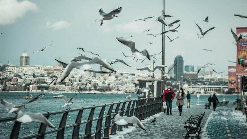 the people could fly pdf