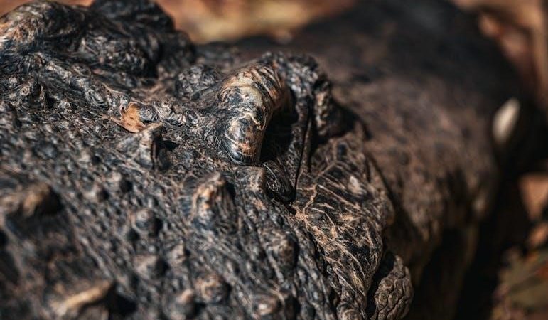 cscs study guide pdf free download