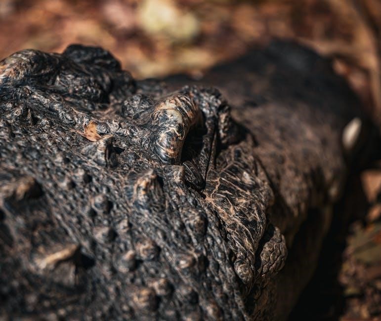 cscs study guide pdf free download