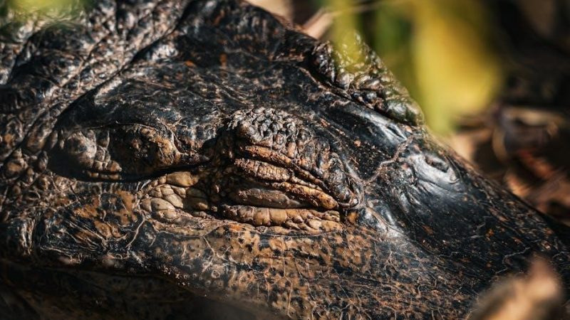 par ici b2 pdf free download