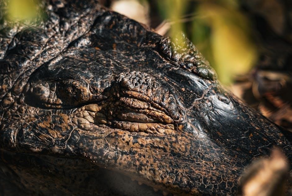 par ici b2 pdf free download