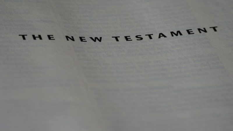 the chosen bible study guide