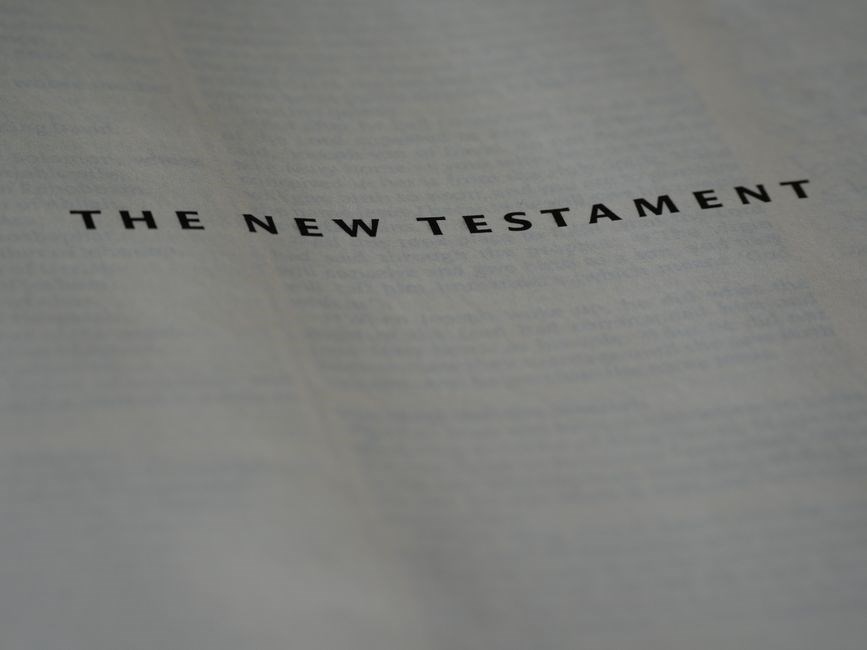 the chosen bible study guide